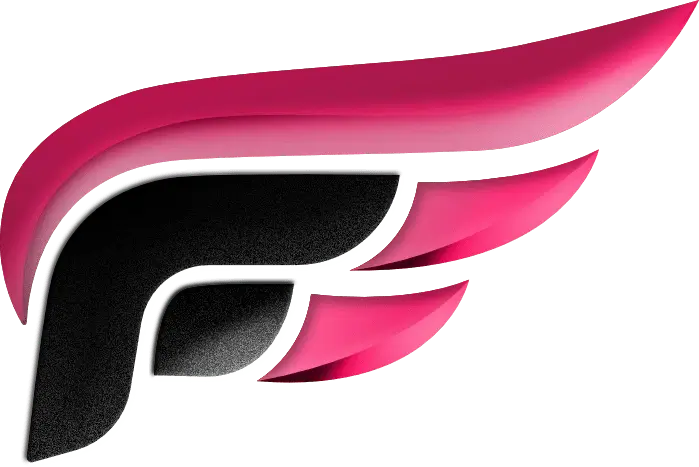 FlyLive